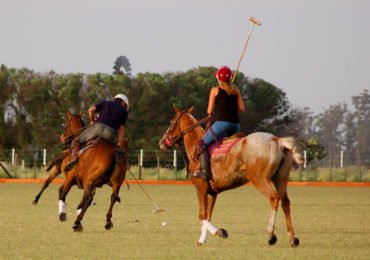Horse & Polo Trip