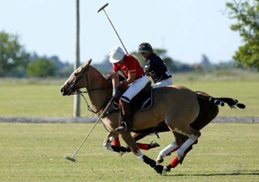 Boutique Polo Farm