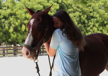 Coaching With Horses