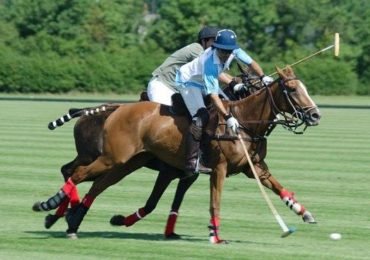 Horse & Polo