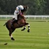 live-barcelona-barcelona-polo-jinete-2-1