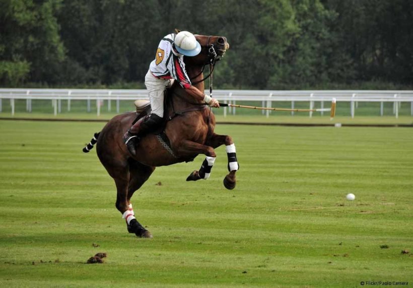 live-barcelona-barcelona-polo-jinete-2-1