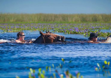 Horseback Riding & Swimming