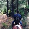 horseback-riding-in-el