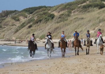 Horseback Riding by the beach or mountain