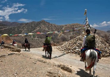 Horseback Ride Trip