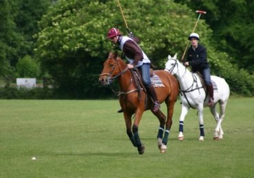Horses, Polo, Asado & Wine – 3-Day Estancia near Buenos Aires