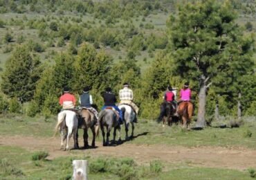 Full-Day Horseback Riding in San Carlos de Bariloche, Argentina