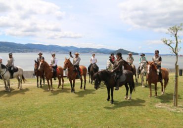 Horseback Riding Camino De Santiago