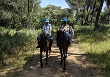 Family Horseback Riding in Doñana Natural Park, Seville