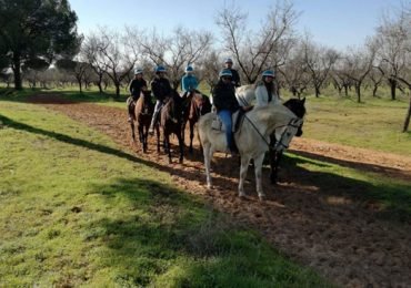 Horseback Riding for Two People in Doñana Natural Park, Seville