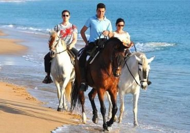 Horseback Riding in Zahora Beach, Cádiz