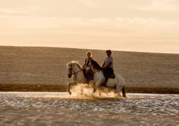 Horseback Riding on the beach in Melides with lunch and wine tasting, Portugal.
