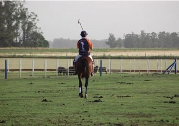 Horses & Polo in Mar del Plata, Argentina