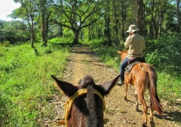 Horseback Riding in a Natural Reserve with Lunch in Cartagena, Colombia