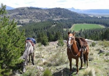 Horseback Riding with Snack in El Desafío, San Martín de los Andes, Argentina