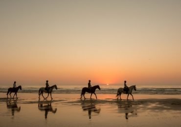 Horseback Riding on the beach in Melides, Portugal.