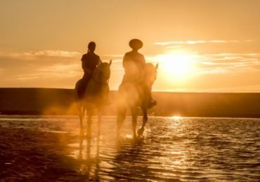 Horseback Riding on the beach in Melides with wine tasting and picnic, Portugal.