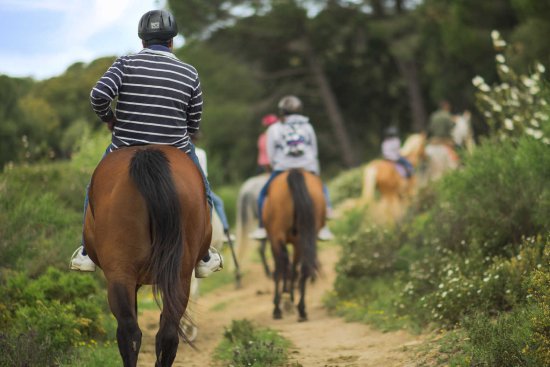 3-18_Tambor_del_Llano_ruta_en_caballo_en_Parque_Natural_de_la_Sierra_de_Grazalema (1)