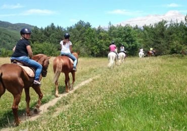 2 days Horseback Riding in Aragonese Pyrenees with 1 night accommodation.