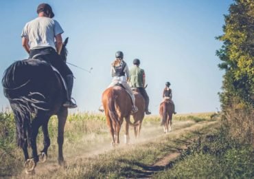 Horseback Riding in Natural Park Sierra de Hornachuelos