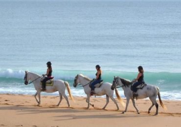 Horseback Riding by the beach or mountain
