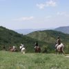 paseos-a-caballo-pirineo-ecuestre-6 (2)