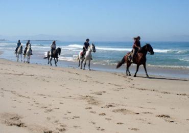 Horseback Riding by the beach or mountain
