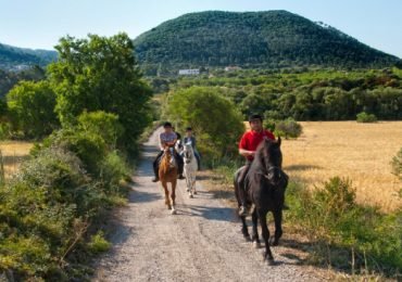 Horseback Riding in Randa valleys, Mallorca.