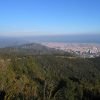 Sierra-de-Collserola-Barcelona-8983