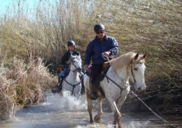 Horseback Riding at natural park Oliva-Pego