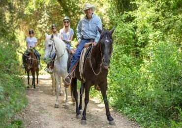 1.5 hr Horseback Riding in Montserrat Mountain Natural Park