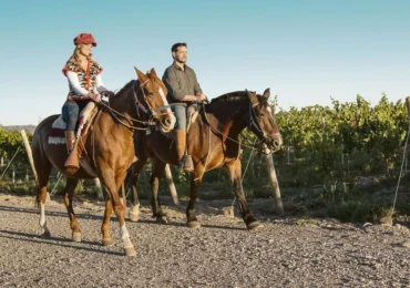 1.5 hr Horseback Riding in Mendoza through the vineyards and river
