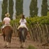 horseback-and-wine-tasting