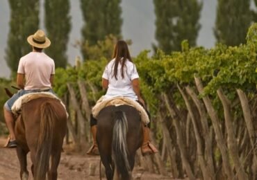 1 hr Horseback Riding in Mendoza through the vineyards and river with Argentinian Asado and drinks