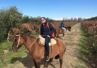 1.5 hr Horseback Riding in Mendoza through the vineyards and river with Argentinian Asado and drinks