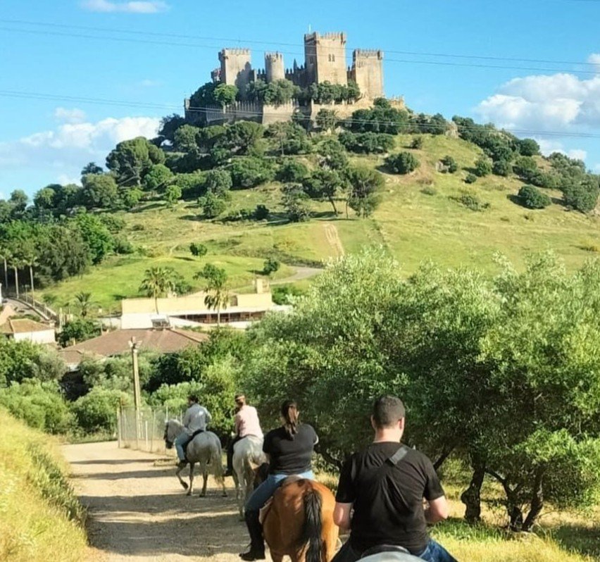 Screenshot 2025-10-24 221509 Screenshot 2025-10-24 221509