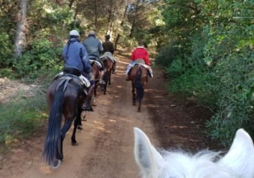 Horseback Riding in Patriarca Forest