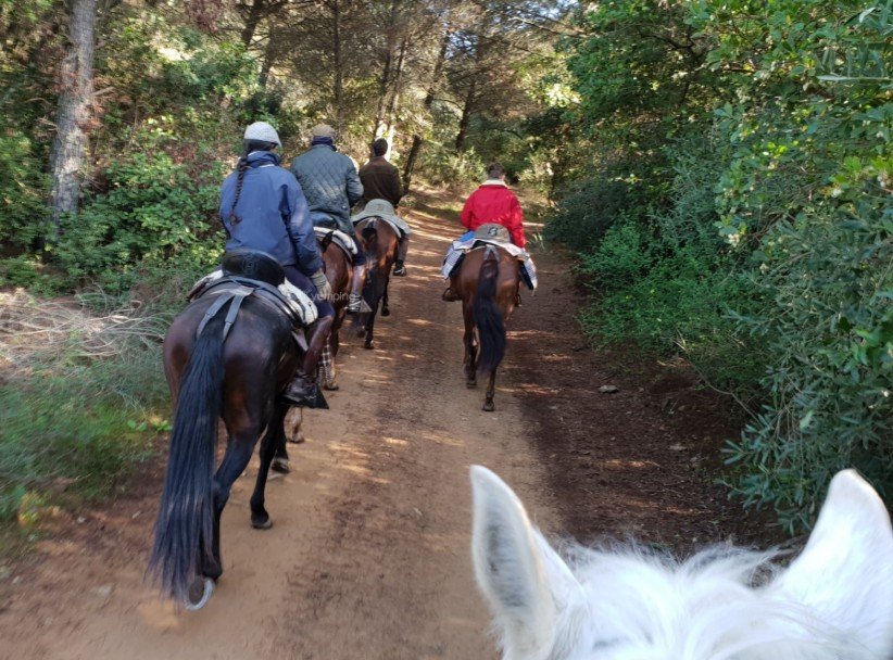 Screenshot 2025-10-24 231638 Screenshot 2025-10-24 231638