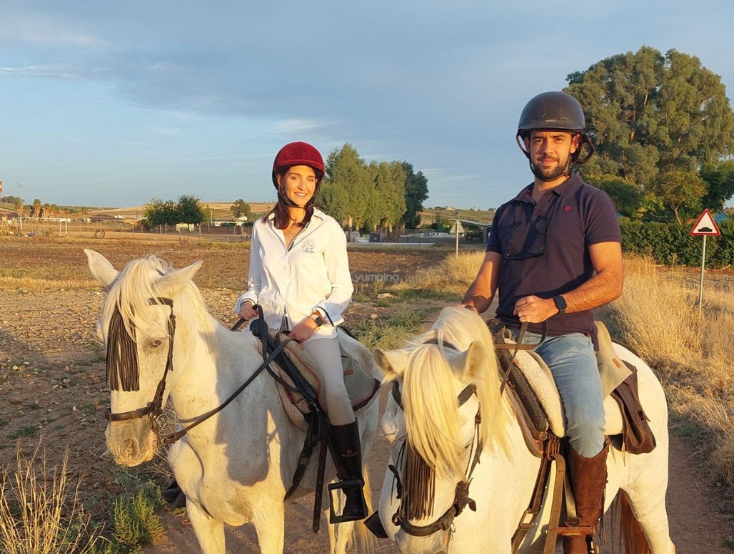 Screenshot 2025-10-29 204120 Screenshot 2025-10-29 204120